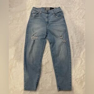 Levi's Silvertab Light Blue Mom Jeans